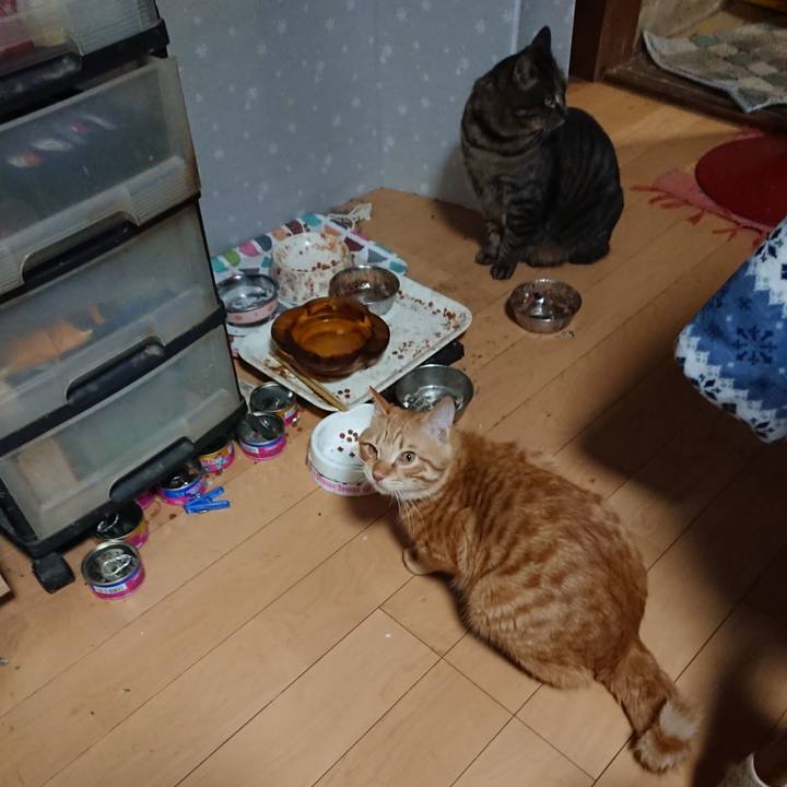 Ad4c932f b63b 4456 8396 4ac6c67a2ee7 1643109703935