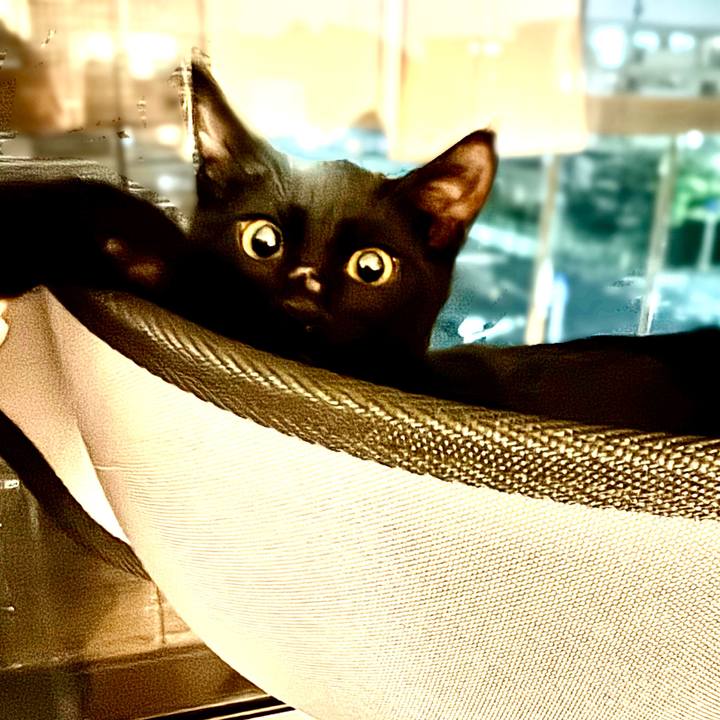 Ad4caba5 f668 45e8 b16c 53c6d5ea6611 1724066060725