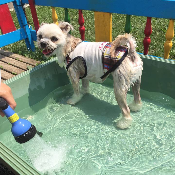 Ad4cd294 b06d 42b3 a973 80aab271903a 1531627514410