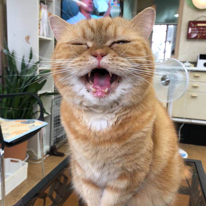 Ad4d282b e146 4109 87d0 77c88077bb1a 1548460000744