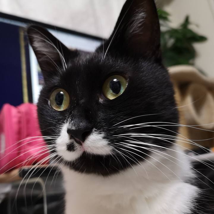 Ad4d2c53 a3b9 4e75 b402 12bbf777a779 1576919676656