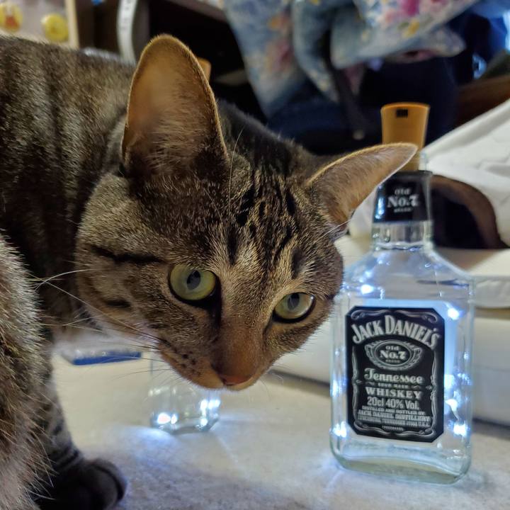 Ad4d30e6 182b 49d7 b1fa 68d544dfcc6d 1702645784137