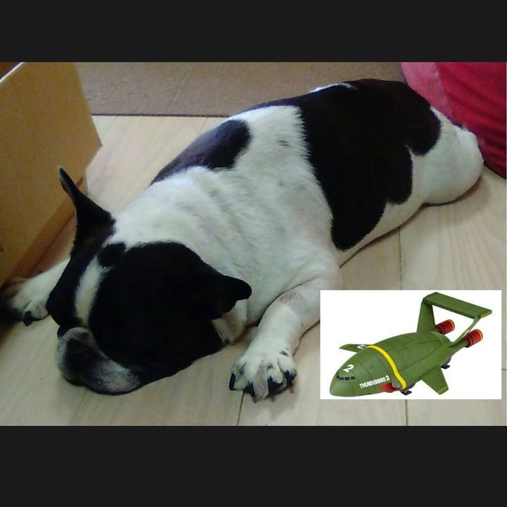 Ad4d3fc3 ac7f 4bba 8100 51c37cb7ca0a 1530889885514