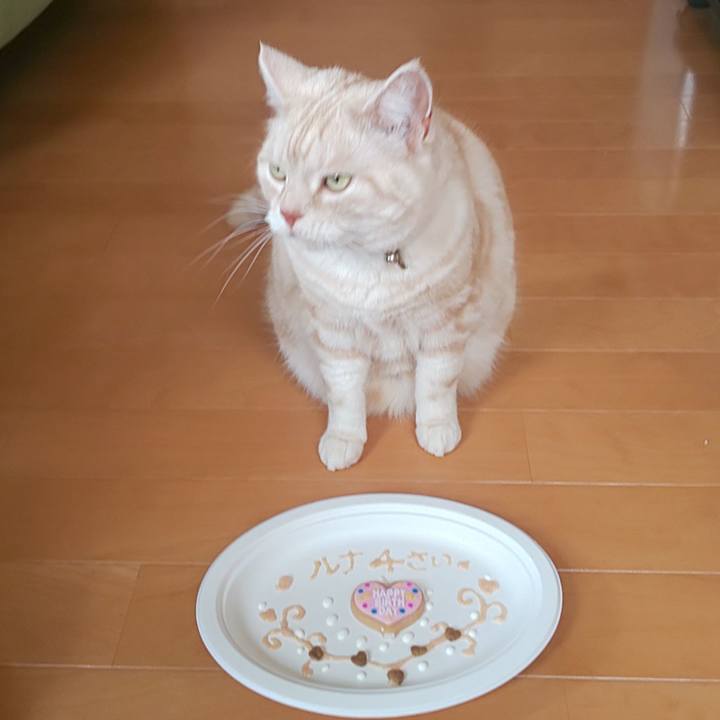 Ad4dc75c 23bc 44d5 8c03 bb2c2d70358f 1582954339117