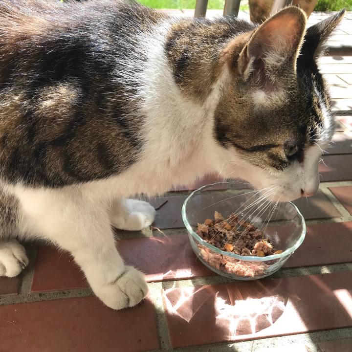 Ad4e1c20 386a 4dc2 9713 06ac67982a4b 1570443375964