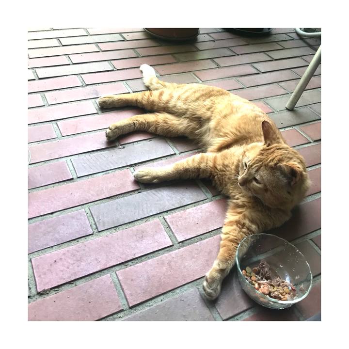 Ad4e92dd b211 40e3 9c7c c67474d88790 1650882235201