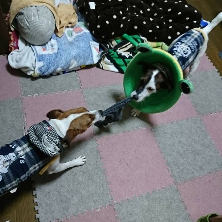 Ad4eb01f 4dff 4fb9 b077 13c7087d6a64 1538572720578