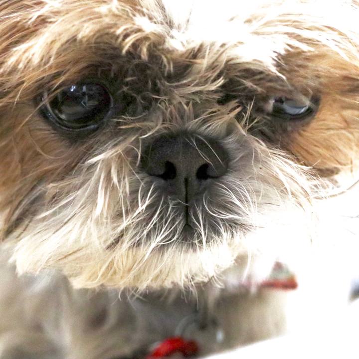 Ad4ec4ac acfe 4b6a 9248 4f9a8c4592e1 1510114375503