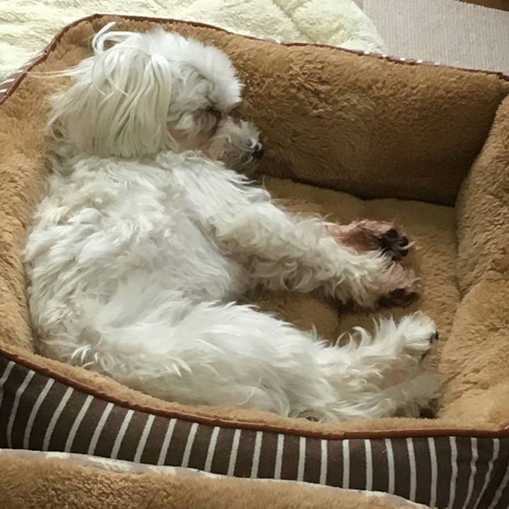 Ad4ecdb3 a454 4421 b587 fceb1a94fed7 1514694428003