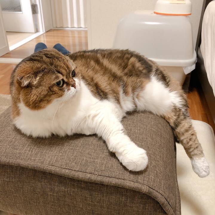 Ad4f06c9 a9d9 4ecd 8fb6 5ddb4e7a62ef 1599562047687