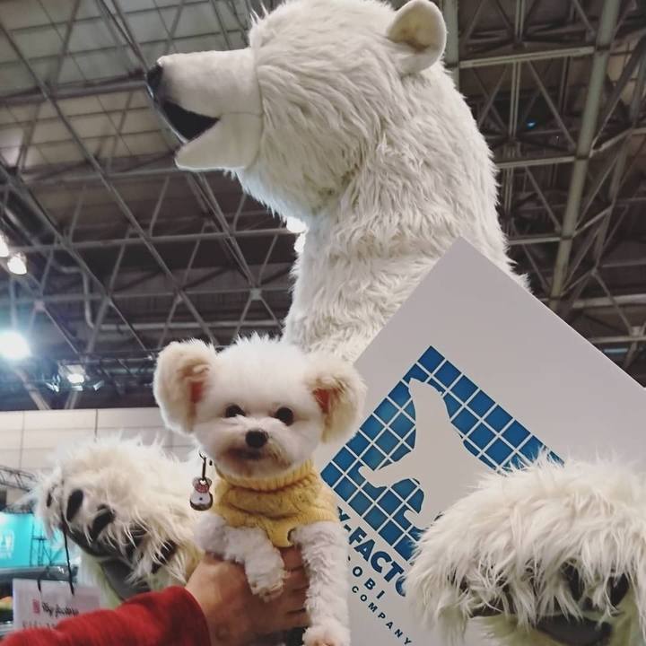 Ad4f2800 c4db 4338 b080 334828e22a7b 1549108122308