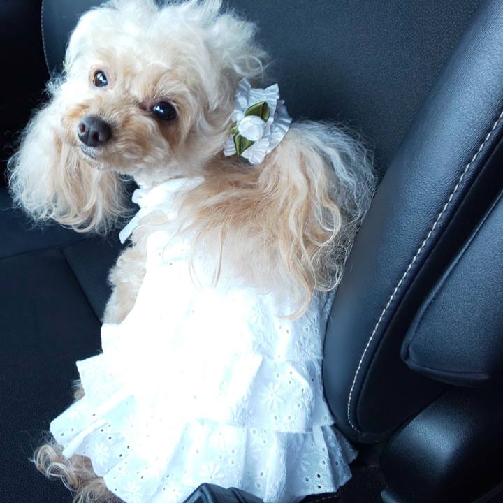 Ad4f2897 b41f 4ed9 bc68 94200ea22fa4 1596347845171