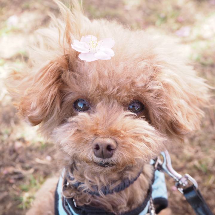 Ad4f5b83 bd70 47f7 9885 18f56af9d2d7 1520069171438