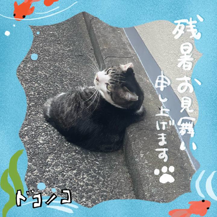 Ad4f6506 4ca2 475c 9cf7 e67410f2bd10 1723338168551