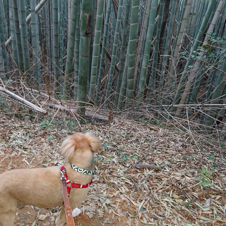 Ad4f7c7f 1587 4a1f 9cb5 59a0bd83c0ea 1600765285191