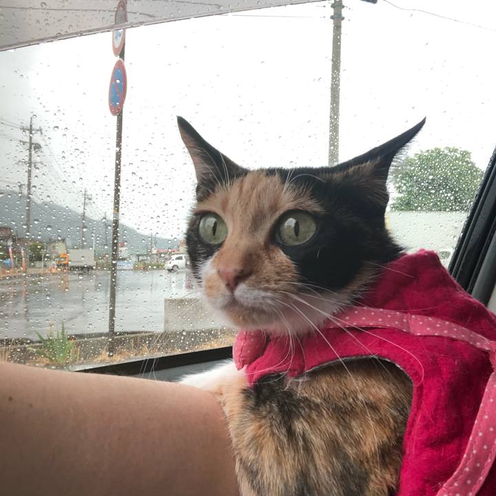 Ad4faf03 6bf2 476e a2e0 d52520b06096 1591849805061