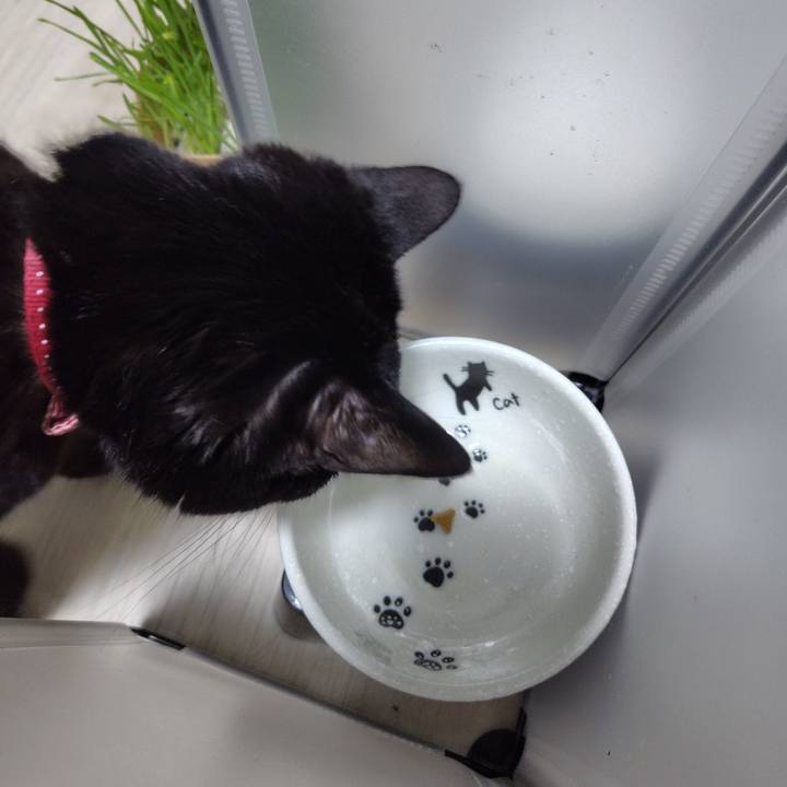 Ad4ffaeb 571a 4dde 9487 5853864ae61d 1729241840374