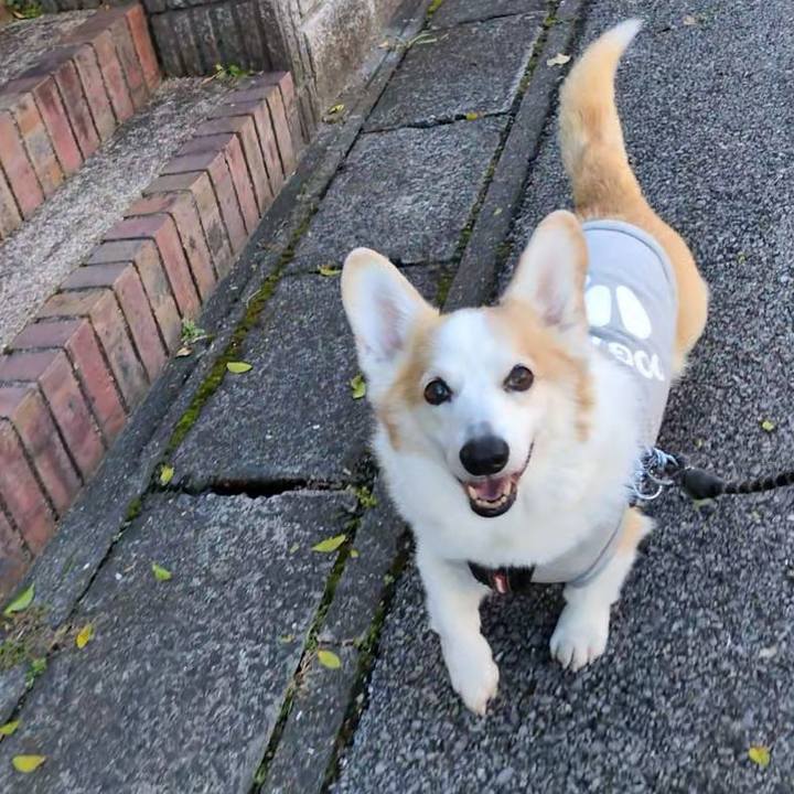 Ad5002a7 c415 4655 b495 8d34b43884f8 1766457858445