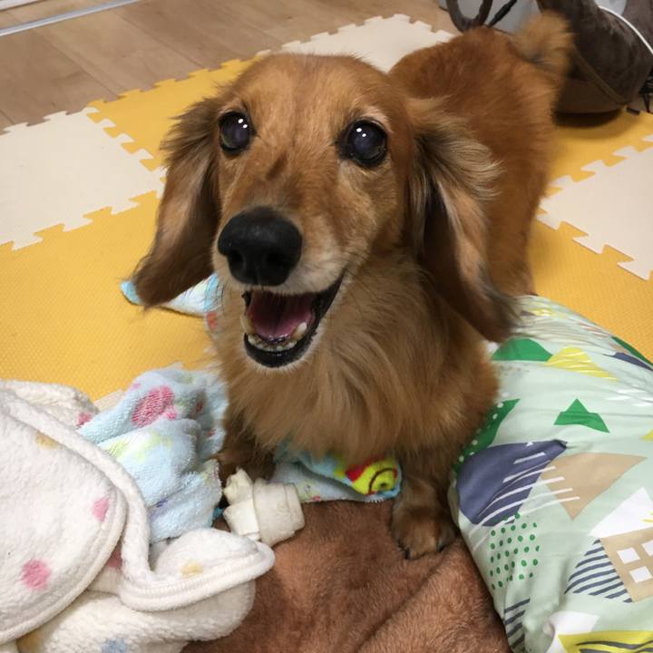 Ad500b58 26d4 4d2b 90f3 219300df67ac 1592049812521