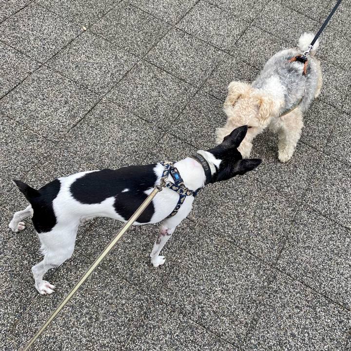 Ad5030ea 71c4 496c aede d2148e3f2af6 1628720811627