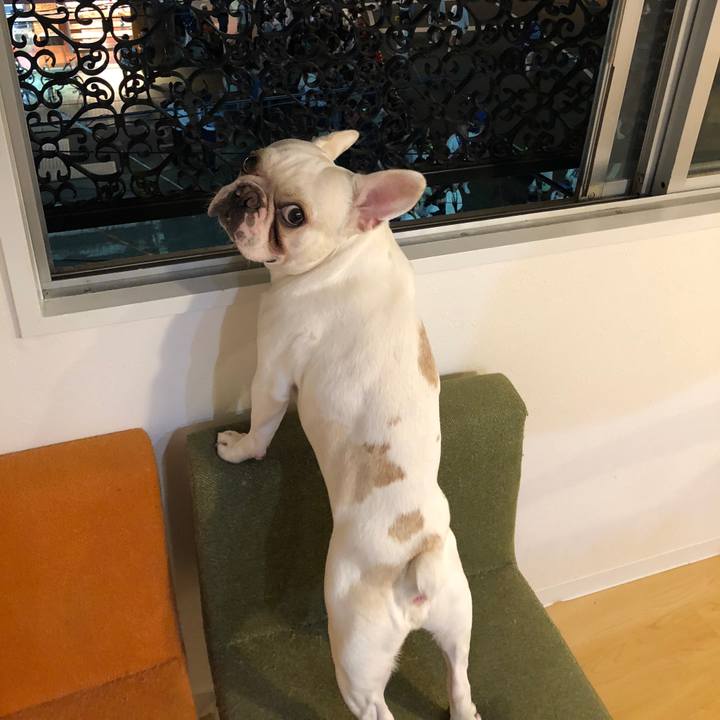 Ad50bd3c 60d7 433b 9bd1 01b8435af83d 1540125189967