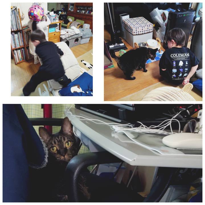 Ad50c352 59e8 4453 8f3b 9d392d628a6a 1775466462121