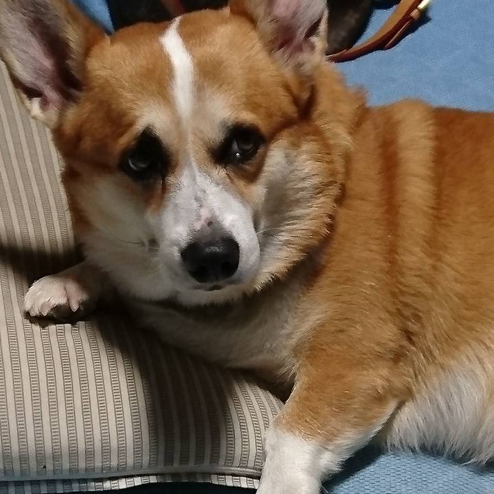 Ad50efc7 4bc9 4eca ad3a 378bc0472131 1667280739061