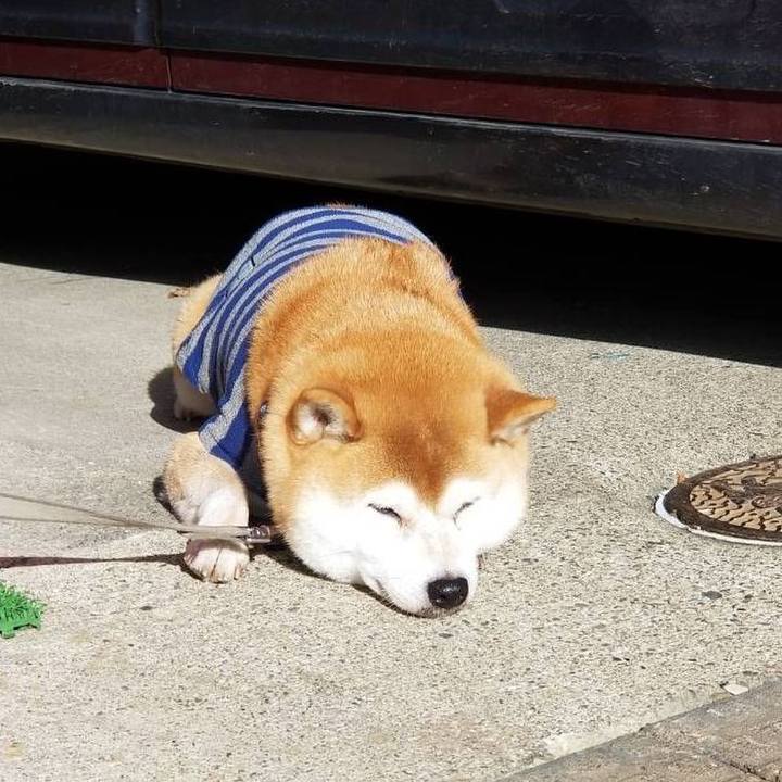 Ad50fc75 fa4e 4b8b 8e03 8412e4336605 1576138424877