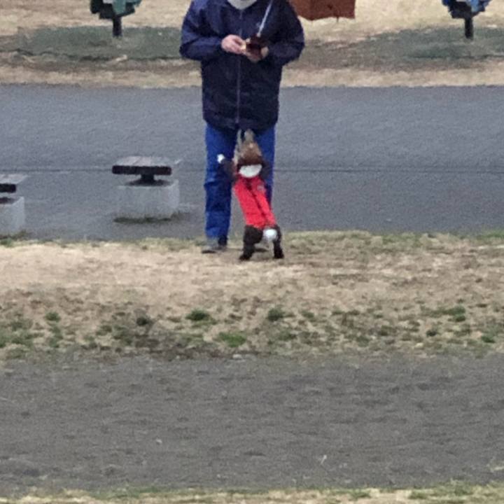 Ad5114ef f959 47a1 abce eecd07f7cd65 1551307576811