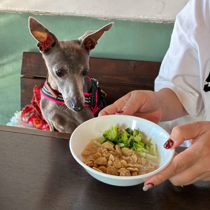 Ad512f5b 939f 4ef1 8e7c 32d2d443798f 1761652509424