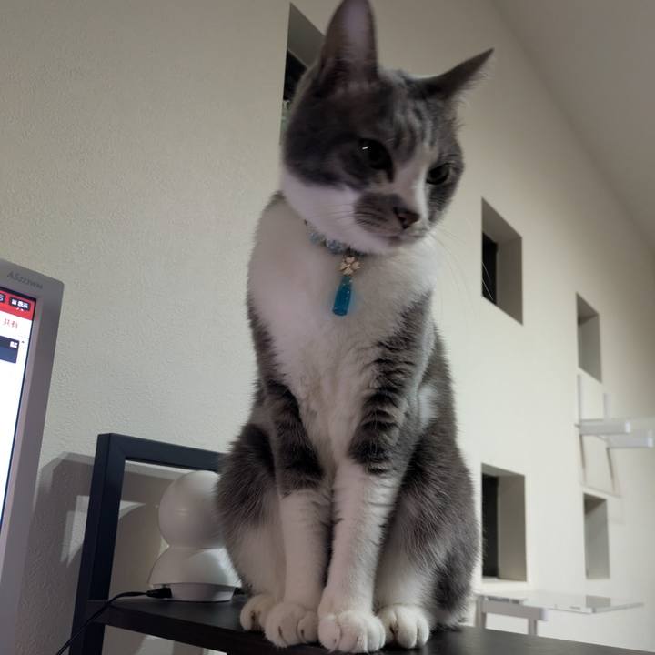 Ad517b53 cde0 42d2 b491 79af2b235052 1733915815669