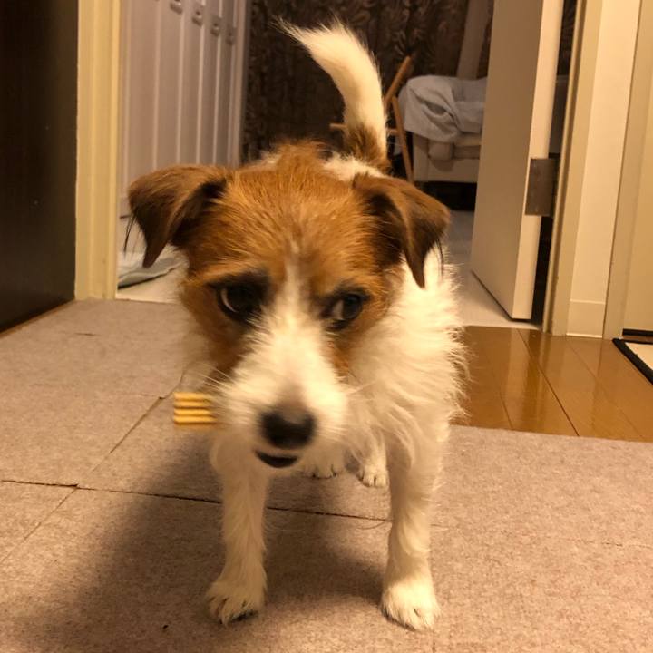 Ad51927f 62d9 4737 877d fb840b0b0002 1604402121769