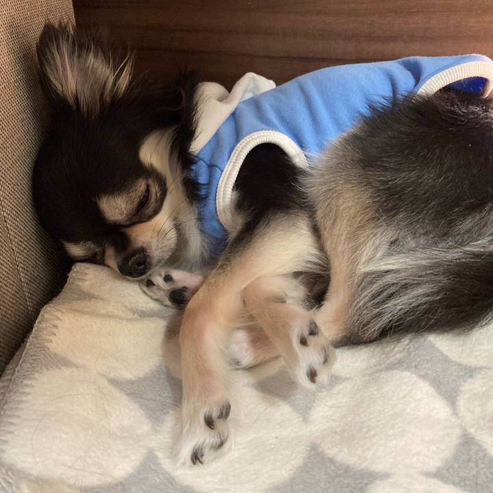 Ad51997a 06fa 47fa b732 0ad5e28c6b08 1651585493999