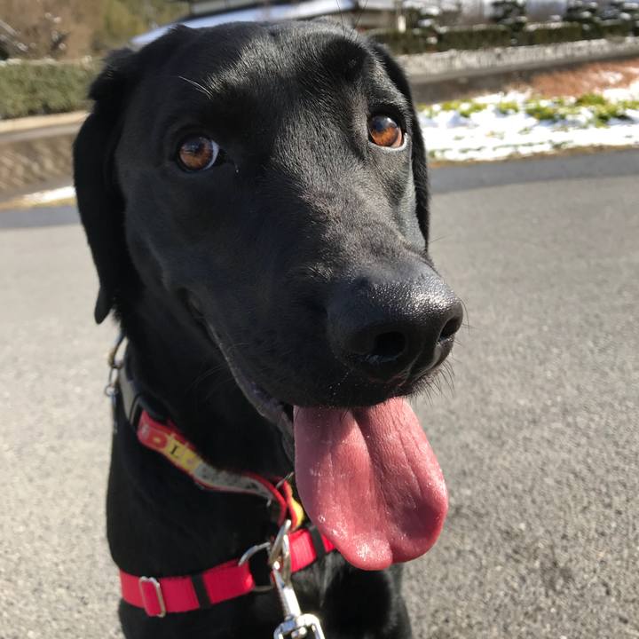 Ad51bf98 d762 43a2 9fc5 cd680b5c45d1 1517727740477