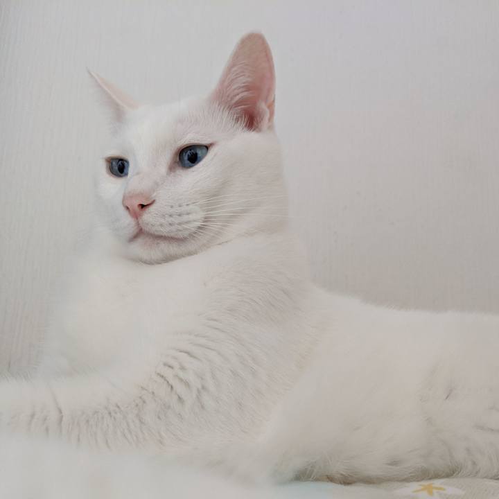 Ad51c1f6 6030 4550 af0b 8c35bd294c00 1568410880208