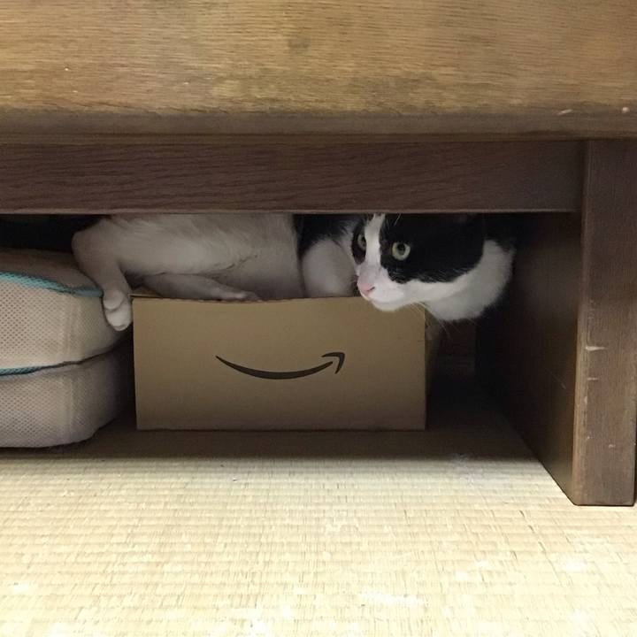 Ad51d37c f06e 4af4 be8a 2f93a7ee3b35 1694866646040