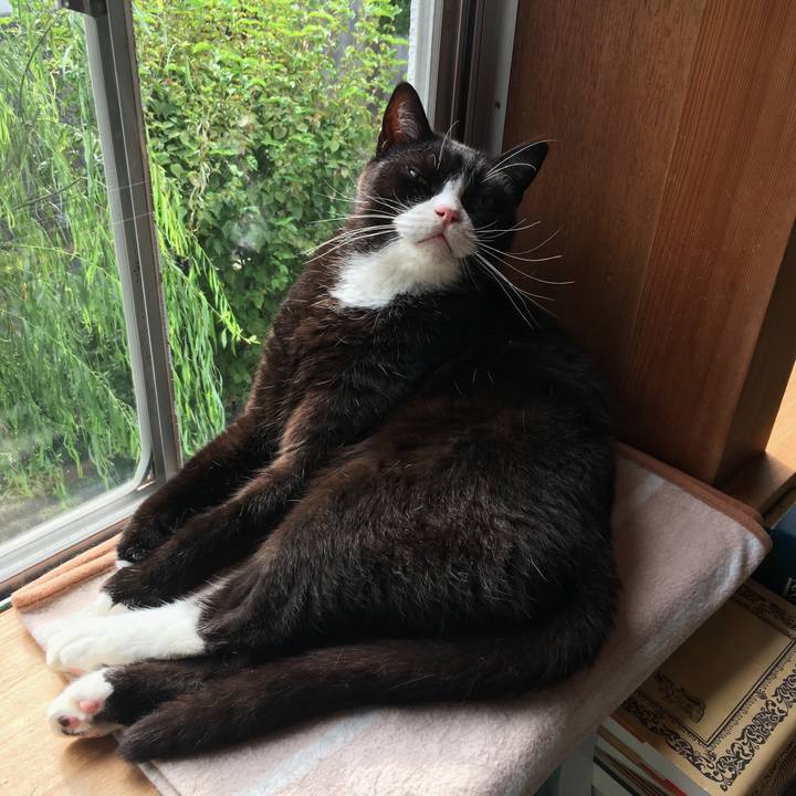 Ad51fe9a 5eec 49f7 870e 7a9b84b08633 1568936628255