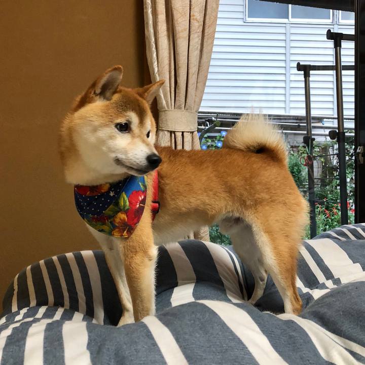 Ad52010e 5466 4873 943f 1e464dce4131 1538643997832