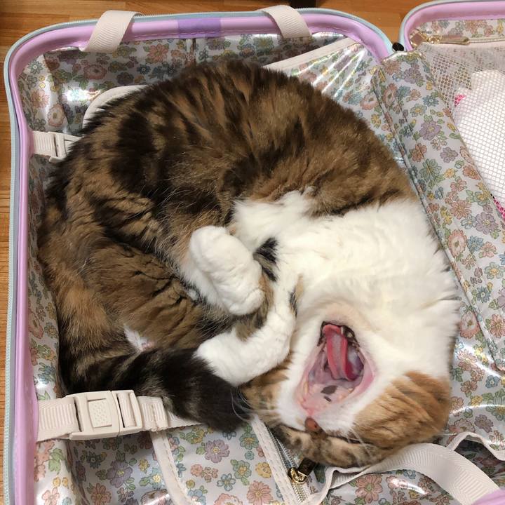 Ad5209ae ab6d 4367 bc70 50c543c98a63 1557103271810