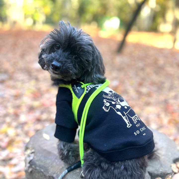 Ad521a31 f03d 4ab8 a02f 65e66e885d4c 1764432898253