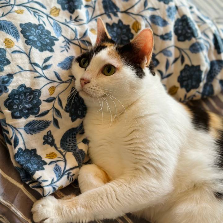 Ad5220f3 878b 4c64 aa30 7cf8ff62530e 1727314179046