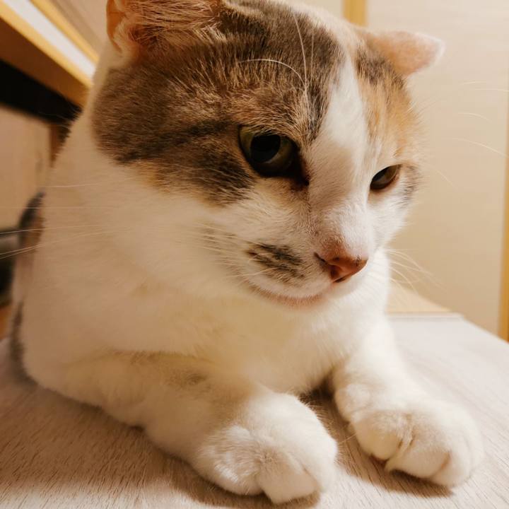 Ad527249 21fb 4e2d b30f ccec2fdddd5f 1665115853546