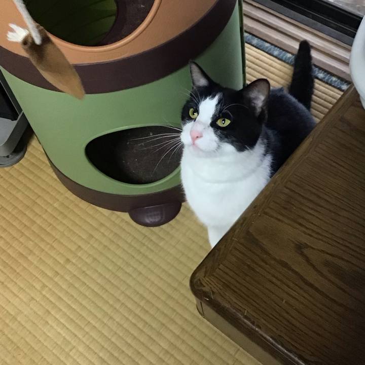 Ad52de41 29d5 4a17 be59 5d1d712fab1a 1686737438911