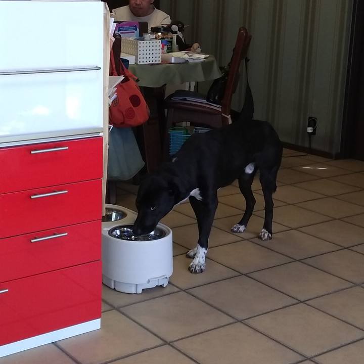 Ad534453 ab2c 48de b658 c8f815aae841 1584580004362