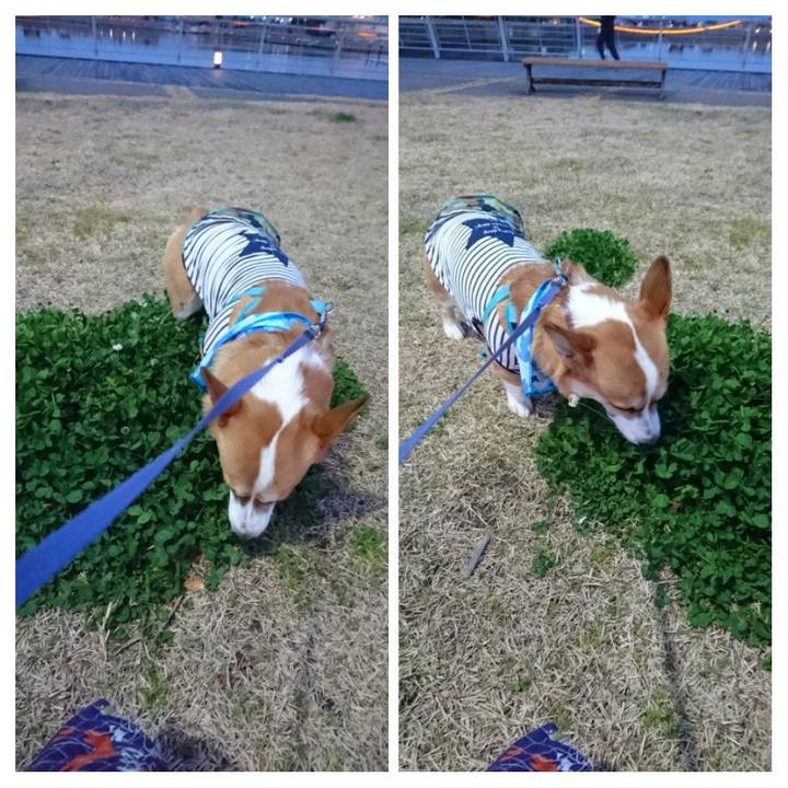 Ad536d86 c931 4249 8e43 bbf577ad3345 1584496276598