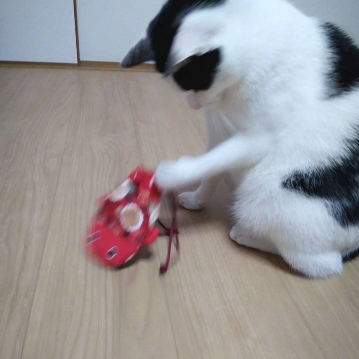 Ad537718 8397 4b98 92c2 2a2e9c2ce8d7 1544184379254