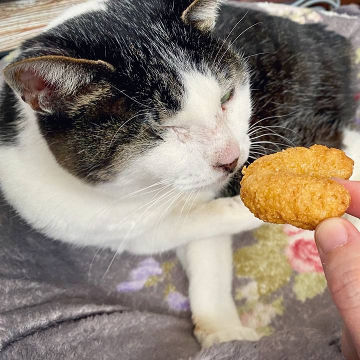 Ad5377bf f626 4bda a037 8b115397dfe8 1616207036326