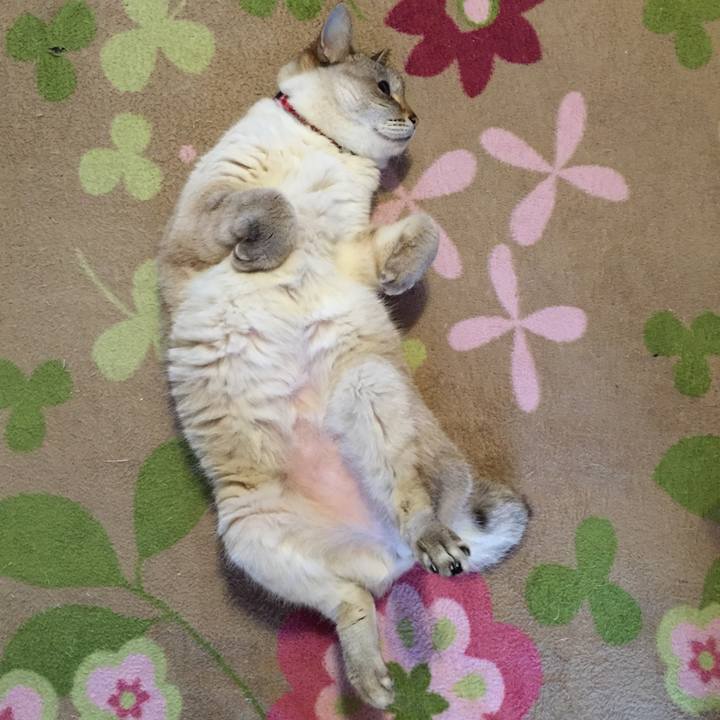 Ad537882 b119 49ca 829d 379719733545 1527460818990