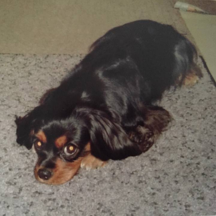 Ad53b9be 2e9a 4bd9 8a29 8b45dc9a2bdf 1548346482659