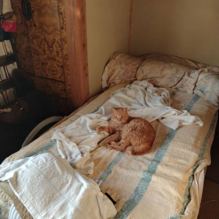 Ad53d023 dffa 4fea acd7 2610a0e98279 1751059437171